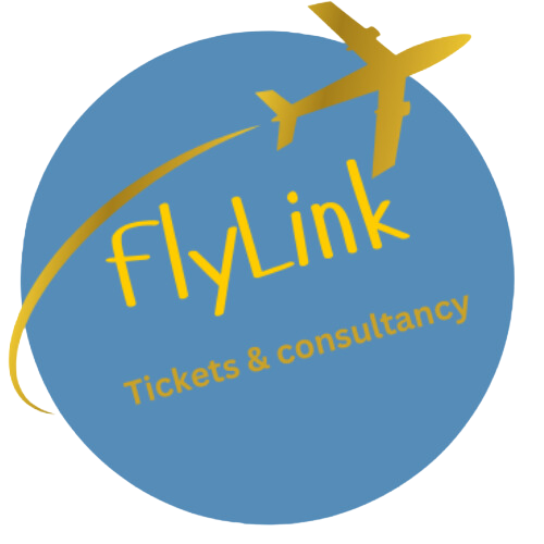 Flylink T&C
